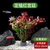 Plantas Acuáticas Locas para Paisajismo de Acuario, Plantas Verdes Amantes de la Sombra, Jacinto de Agua, Hierba Ciempiés, Plantas Hidropónicas de Purificación de Agua