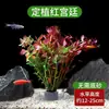 Aquário Paisagismo com Plantas Aquáticas Anel de Plantio para Plantas Aquáticas Plantas Verdes Negativas Grama Centopeia Anubias Purificar Qualidade da Água Plantas Hidropônicas