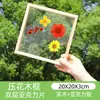 Marcadores de Libros de Flores Secas, Espécimenes de Plantas, Película de Sellado de Plástico, Colección Otoñal de Hojas de Arce, Materiales para Manualidades, Pegatinas Transparentes de Hojas, Borlas