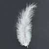 Pluma de Pavo Colorida DIY Hecha a Mano Material de Pluma Decorativa Cola Puntiaguda Bola de Terciopelo Ondulada Material de Relleno para Caja de Regalo Atrapasueños