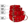 Collares para Perros Pequeños y Grandes, Correas para Perros, Anillos para el Cuello de Perros, Collares para Razas Locales, Anillos para el Cuello de Malinois, Collares para el Cuello de Golden Retriever