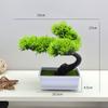 Plantas Atacadistas para Bonsai, Pinheiros Acolhedores em Vasos Pequenos, Enfeites Decorativos de Mesa de Plástico, Plantas em Vasos Miniatura, Pinheiros