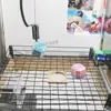 El Nuevo Estilo de Máquina de Garra de Taiwán con Superficie de Mesa Nueva Modificada, la Mesa Lucky Bounce y la Mesa de Pinball de Hong Kong Atraen la Atención