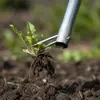 Herramienta Manual de Deshierbe para el Hogar y la Agricultura, Herramienta para Eliminar Malezas y Aflojar la Tierra en Jardinería, Ligera, Ahorra Esfuerzo y Fácil de Usar