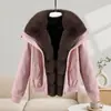 Nueva chaqueta corta de algodón con relleno de plumón para mujer, estilo comercio exterior, con cuello camisero, versión coreana, abrigo de invierno versátil para mujer, parka de algodón engrosada