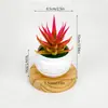 Simulación Nórdica Simple Creativa Mini Suculenta Planta en Maceta Pequeña Adornos Decoraciones para Escritorio de Hogar Oficina