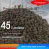 Fábrica de Processamento de Ração para Gatos Produção OEM Personalizada de Carne Fresca Sem Grãos Alimento Completo para Filhotes Alimento Principal Atacado Alto Teor de Proteína