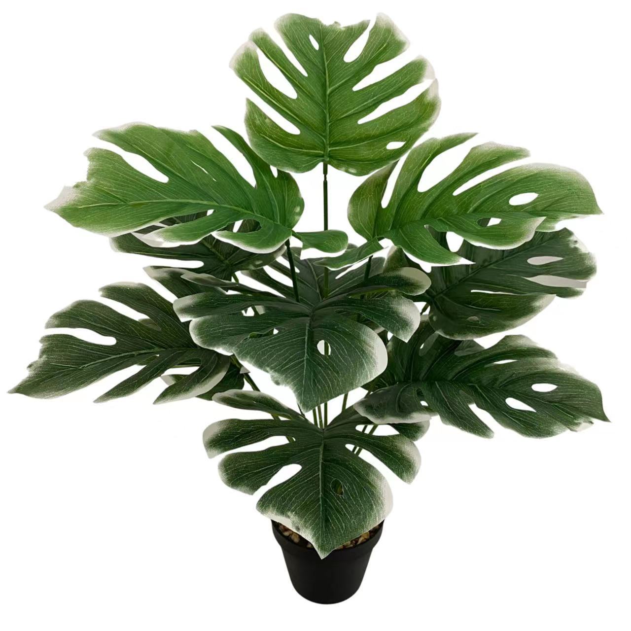 微信图片_20230211215254