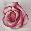Cabeças de Flores de Rosa de Veludo Artificial 10cm Flores de Rosa DIY Buquê para Salão de Casamento Decoração de Parede de Flores Transfronteiriça