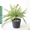 Helecho de alta simulación hoja de helecho peludo helecho persa hoja falsa decoración de planta verde para interiores de espacios comerciales hierba de helecho de alta calidad