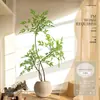 Planta Nandina Aterrizaje Planta en Maceta Interior Grande Biónica Verde Adornos Sala de Estar Lujo Ligero Flor Decorativa Árbol Falso
