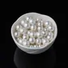 Cuentas de Concha Natural Cuentas Sueltas Blancas DIY Joyería Pulsera Cadena de Suéter Accesorios de Pulsera Componentes de Collar Tejido