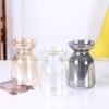 Vaso Pequeno de Mesa Moderno Simples Fantasia Galvanizado Vaso de Vidro Hidropônico Ornamentos de Flores Secas Vaso de Vidro Transparente