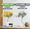 Fertilizante genuino de dihidrógeno fosfato de potasio, específicamente para árboles frutales, verduras y flores, promueve la floración, la expansión del fruto y el aumento del rendimiento, fertilizante foliar soluble en agua