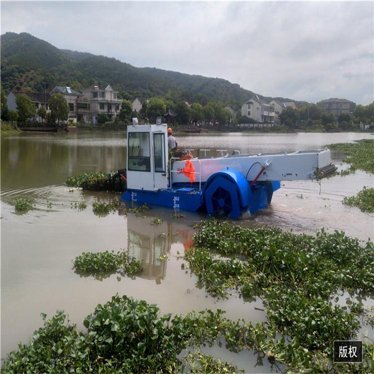 40浙江绍兴水葫芦打捞船 (2).jpg