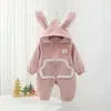 Mono con Capucha y Bolsillo de Encaje Estilo Coreano Lindo para Bebés Niñas Primavera y Otoño Suave Orejas de Conejo Encaje Ropa Exterior