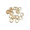 Brincos Redondos de Liga de Titânio F136 Argolas de Orelha G23 Titânio Brincos Simples Argolas Fechadas da Moda Acessórios de Joias Redondos