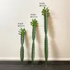 Cacto Cacto Em Vaso Plantas Verdes Falsas Tropicais Paisagismo de Deserto Plantas Verdes Falsas Enfeites Decorativos de Cacto
