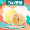 Pomelo miel de carne blanca de Zhangzhou, Fujian, disponible para entrega en piezas de 2/5/9/ 2-2,5 kg, empacado en cajas coloridas, jugoso, crujiente, dulce, fruta fresca