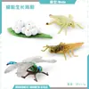 Juguete modelo de animal pequeño simulación ciclo de vida crecimiento rana tortuga pollo Montessori material didáctico preescolar venta al por mayor