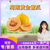 Melão Dourado de Hainan Selecionado Cuidadosamente Dropshipping Melão Doce de Casca Amarela Embalagem em Caixa Colorida Caixa de Presente Fruta Fresca da Estação