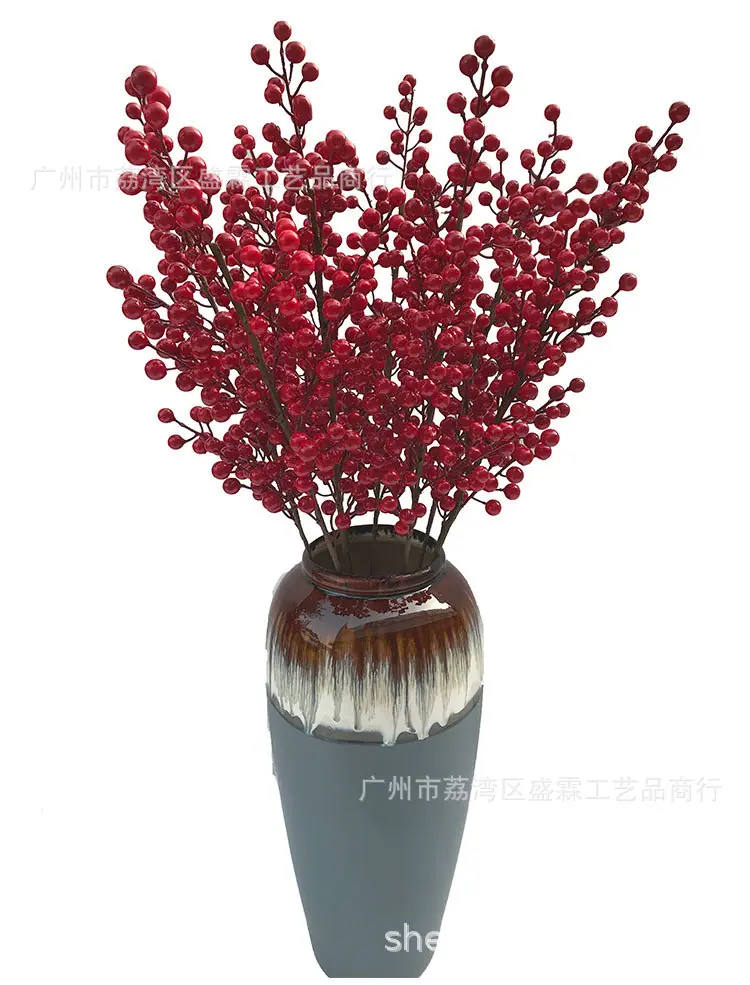 红果-(1)_06.jpg