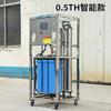 Grande equipamento de purificação de água por osmose reversa RO 0,25 toneladas tanque de pressão máquina de água pura equipamento de tratamento direto de água potável deionizada