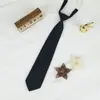 Jk Estilo Japonês Cor Sólida Sem Gravata Gravata Borboleta Masculina Colarinho de Canto Plano Feminino Combina Com Tudo Uniforme Escolar Estilo Casal