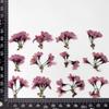 Flor de Cerezo Flor Seca Espécimen de Planta en Relieve Enseñanza Hecho a Mano Goteo de Gel Móvil Carcasa Deflector Marco de Fotos Adhesivo Jabón Alisado Vela