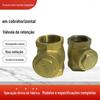 Válvula de Retenção Horizontal de Latão Rosca Interna Válvula Totalmente de Cobre Válvula de Retenção com Flap Válvula de Retenção com Vedação Dura