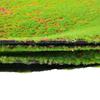 Césped Artificial Verde Musgo Césped Artificial Pared de Plantas Ventana Micro Paisaje Decoración Bonsái Césped Flocado Musgo