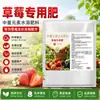 Fertilizante para morangos, especialmente formulado para plantas em vasos de interior, granular, solúvel em água, promove o crescimento e realça a doçura, fertilizante composto orgânico, para uso geral
