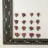 Funda para Teléfono Celular con Flor Seca y Pegamento de Rosa, DIY, Flor Real, Flor en Relieve, Flor en Relieve, Material de Muestra de Planta para Enseñanza Infantil