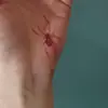 Adesivos de Tatuagem Aranha Vermelha à Prova d'Água Mini Adesivos de Tatuagem Personalizados Simulação Maquiagem de Halloween