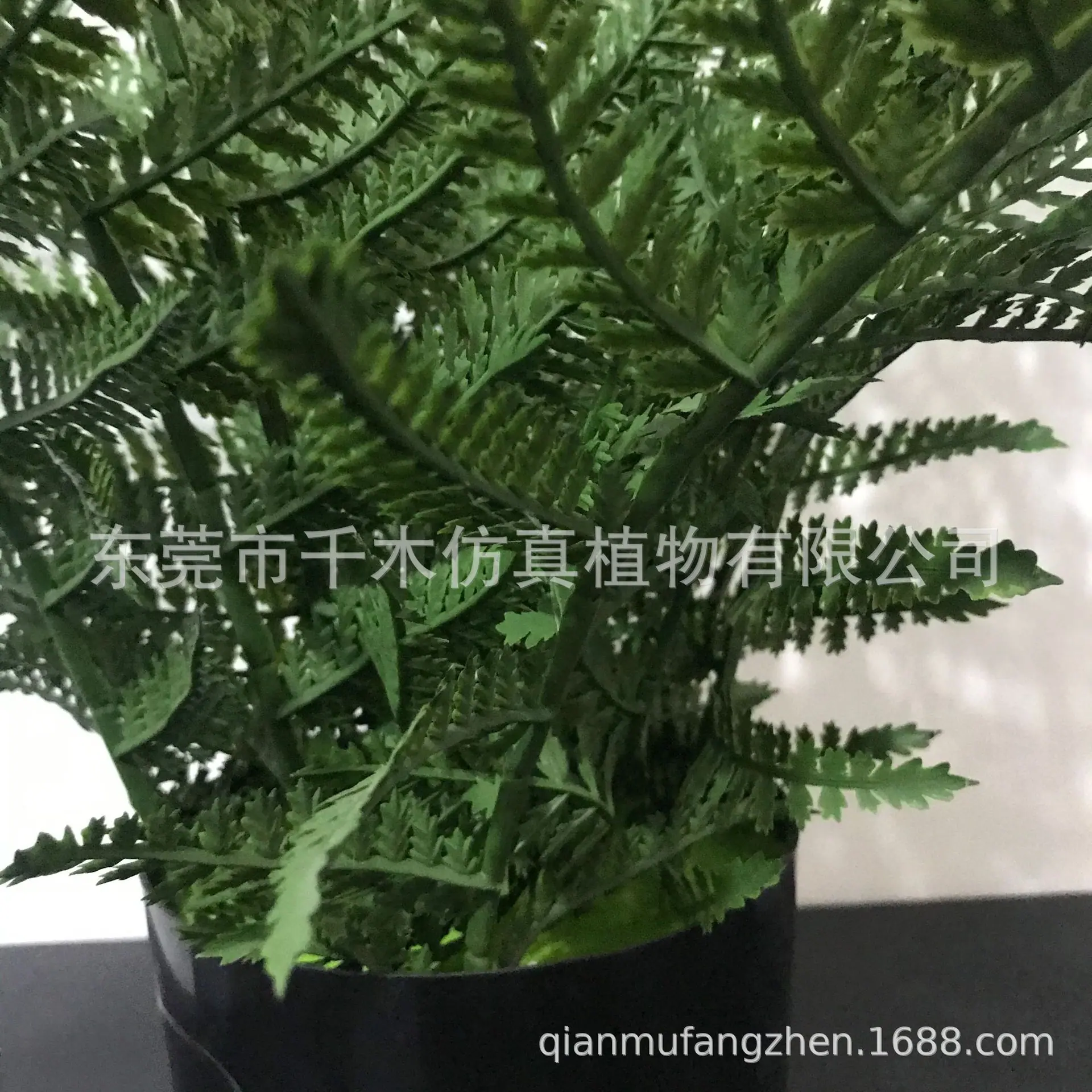 微信图片_20210515163911