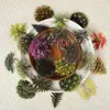 56 Plantas da Floresta Nova Adesivos Transparentes para Pet Grafite Aliexpress Temu Atacado Adesivos Decorativos