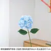 Hortensia pequeña de un solo tallo y doble pétalo con textura realista de doble pétalo, visualmente realista, crea una decoración llamativa y atractiva para un jarrón en casa