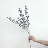 Arranjos Florais de Flores de Linha com Frutos de Painço e Grama de Painço Artificiais de Haste Longa, Materiais Decorativos, Frutas de Milão Decoração de Casa, Flores Artificiais de Casamento