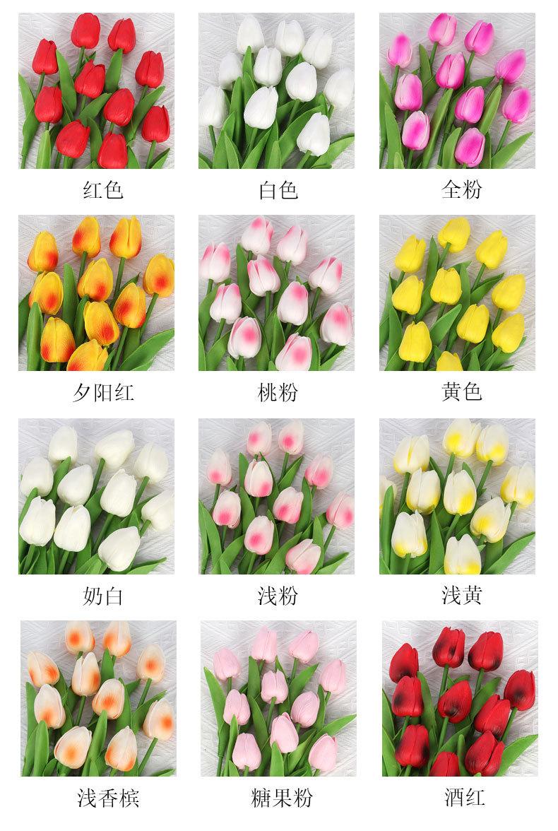PU郁金香_03.jpg