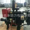 Motor Diesel Weifang 490 com Embreagem Máquina Limpadora de Esterco Máquina de Mudas Suportando o Mesmo Modelo da Quanchai