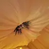 Decoración de Techo para Salón de Belleza con Cortinas de Gasa, Estilo Moderno para Centros de Sanación Privados, Arreglo de Gasa tipo Nube
