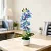 Bacia nova onda transfronteiriça 7 orquídeas Phalaenopsis vaso de flores simulação paisagem fotografia de casamento decoração de fotos flores artificiais pequenas plantas em vaso