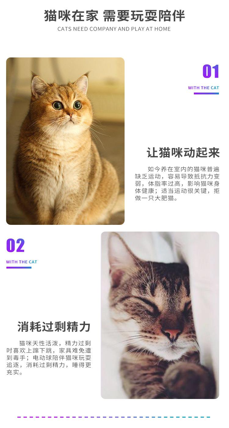 详情_02.jpg