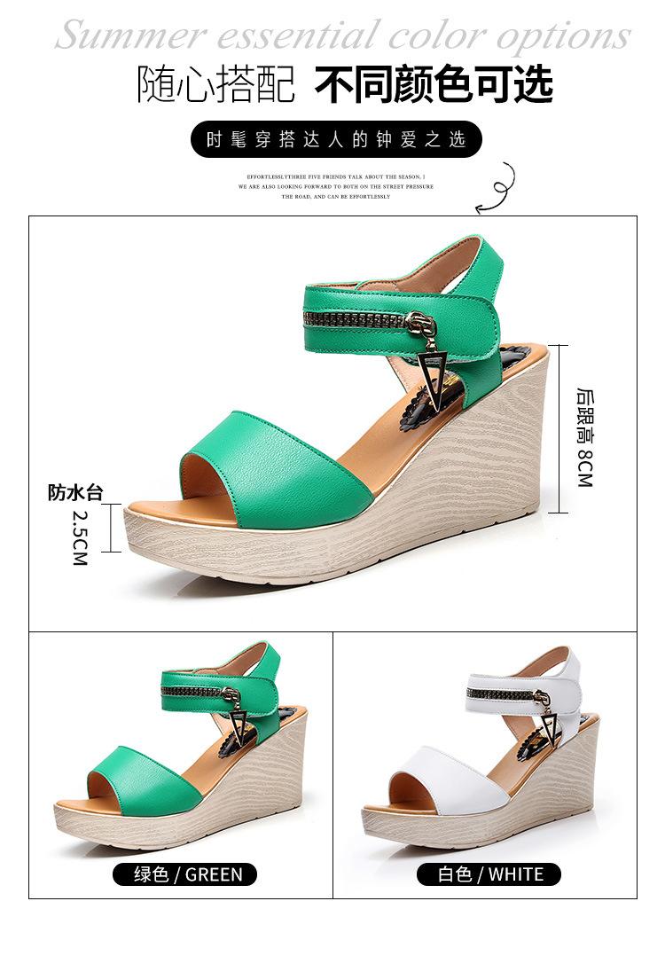 5595详情页标准_03.jpg