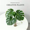 Planta Hidropónica Monstera, Planta Verde Todo el Año, Planta en Maceta de Cultivo en Agua para Interiores, Bambú de Hoja Grande para Sala de Estar, Oficina, Escritorio