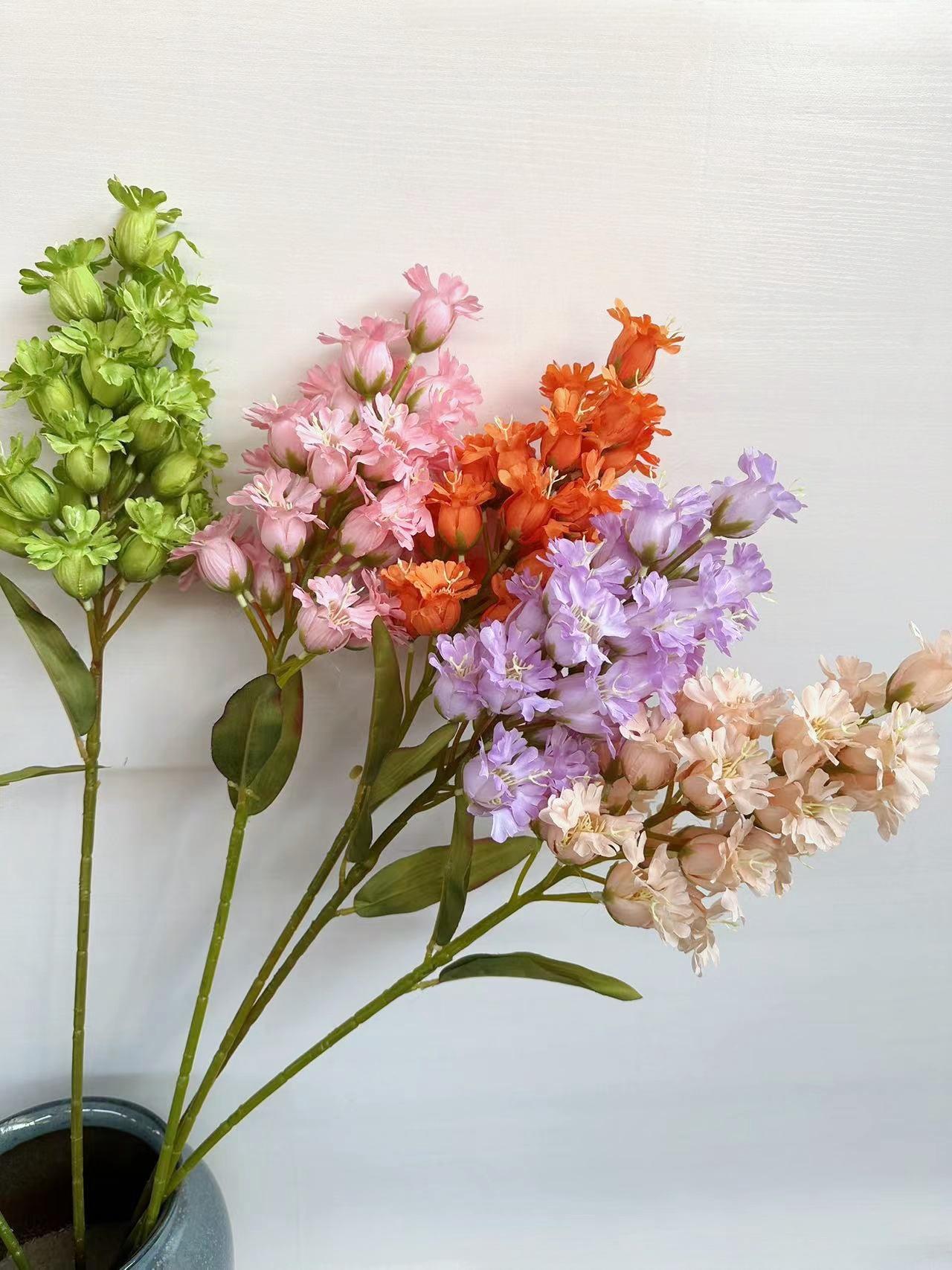 灯笼花12