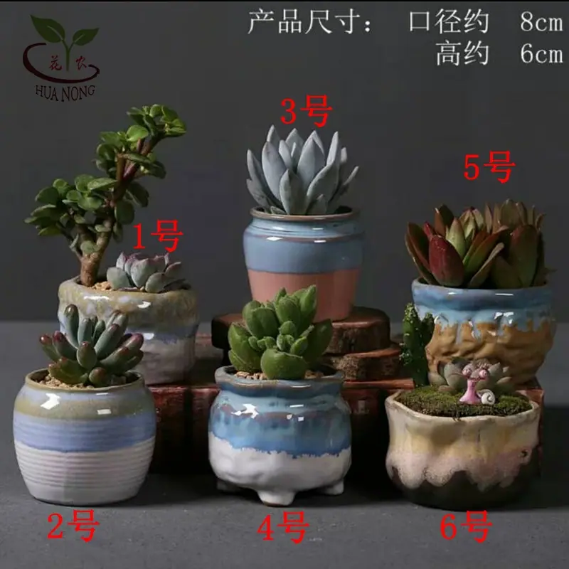拇指盆双色