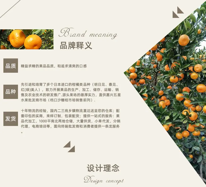 山东玉菇甜瓜 代发3/5/9斤冰淇淋口感脆甜鲜瓜礼盒彩箱新鲜水果详情图14