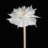 Em estoque atacado 6cm núcleo flor dália flor feita à mão decoração de casa aromaterapia expansão fragrância flor