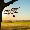 Suministro Transfronterizo de Estación Independiente Silueta de Pájaro Búho Colibrí Pájaro Carpintero Petirrojo Serie Silueta de Pájaro Enchufe para Jardín